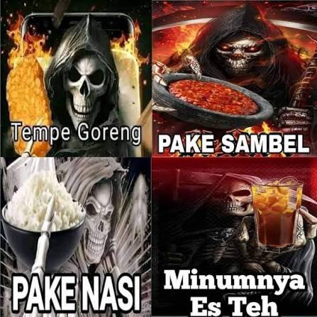 𝖒𝖆𝖙 tweet media