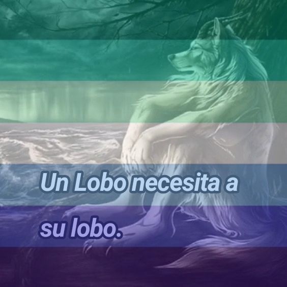 chaiivampire's tweet photo. Holi chavos, los voy a seguir en mi cuenta yume los tqm https://t.co/QuIZ6UEl4e