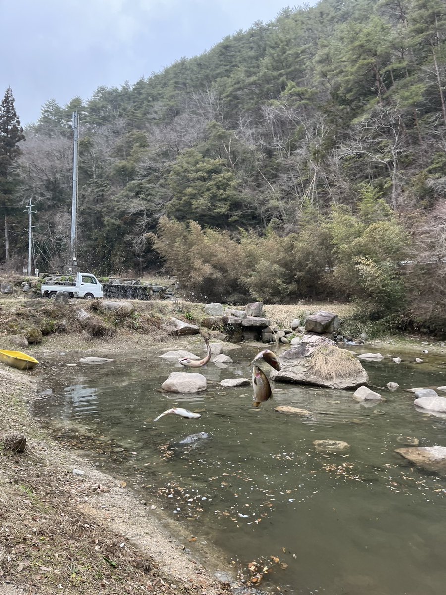七 瀬川 渓流 釣り場
