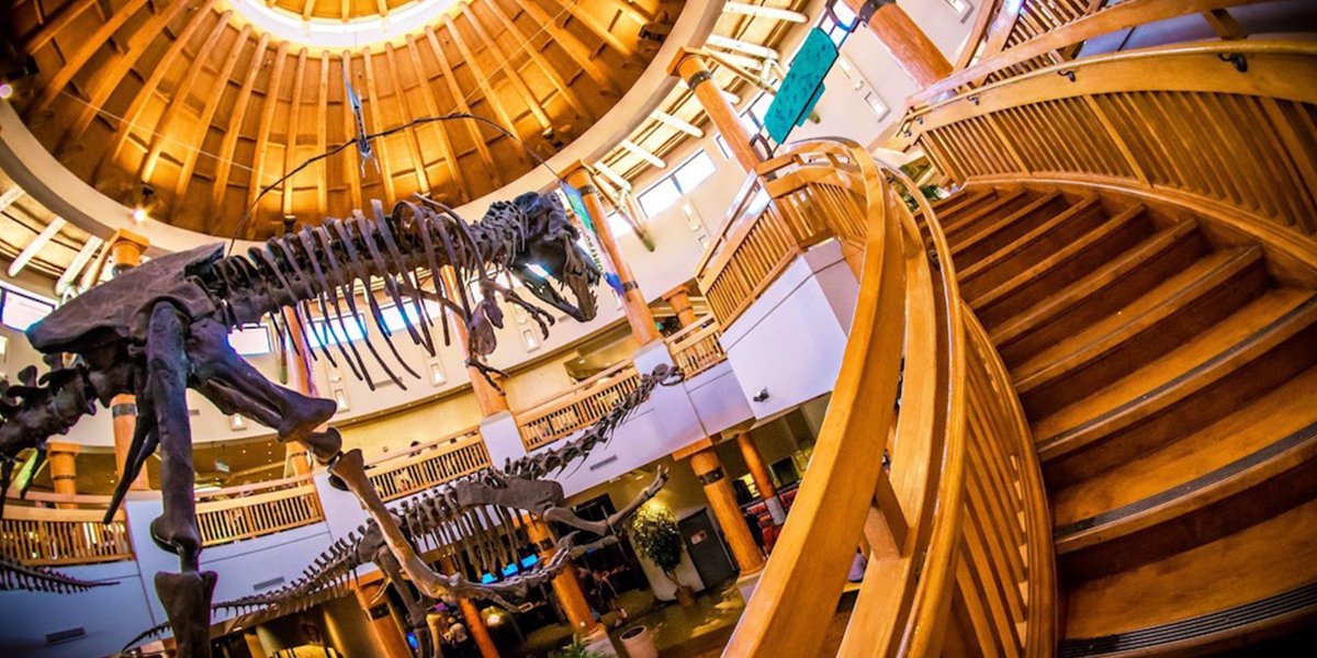 Mattlegostar tweet media