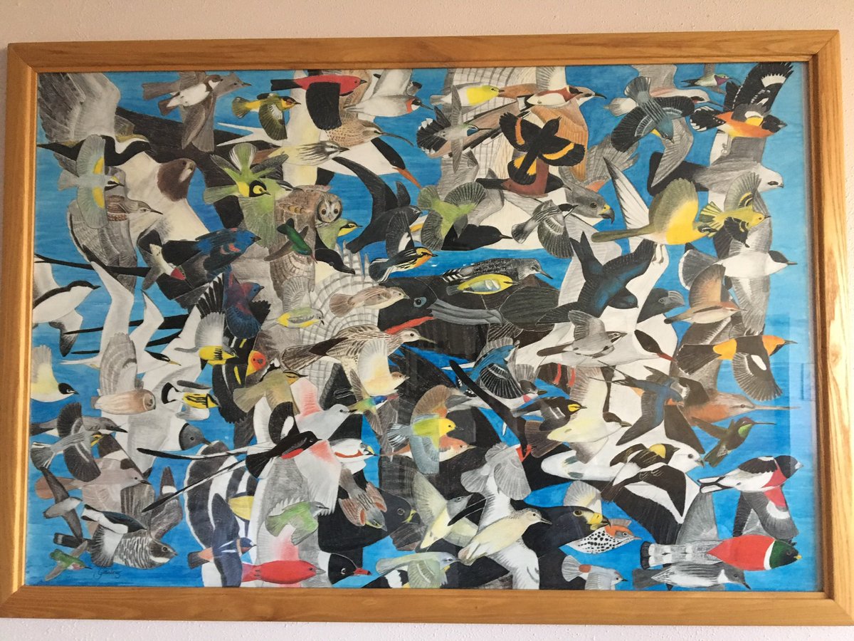 Andrew Guttenberg tweet media