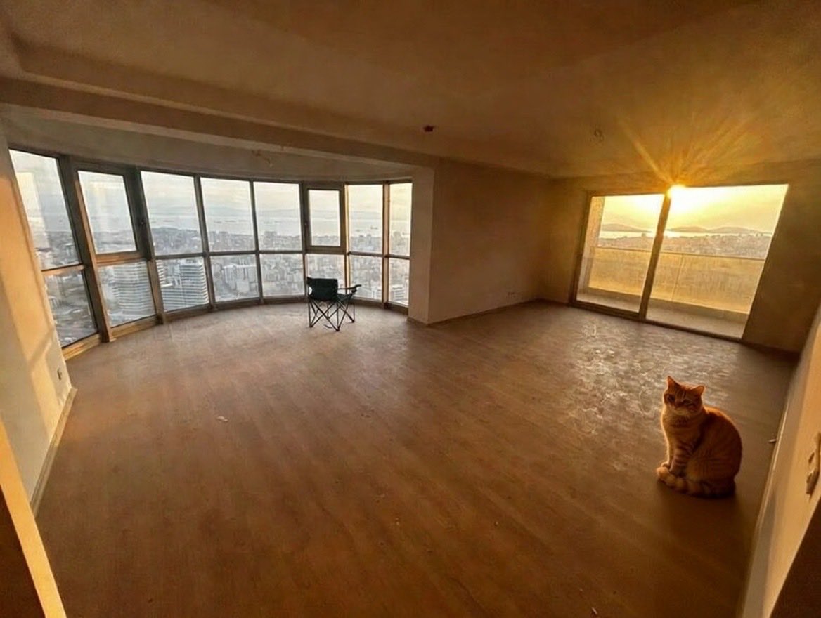 SpacePenguinRAID tweet media