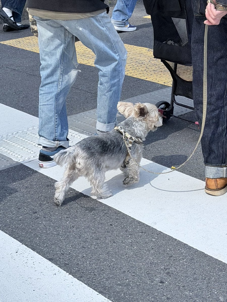 ᶜᴴᴬᴱ┈ ♡ﾞ tweet media