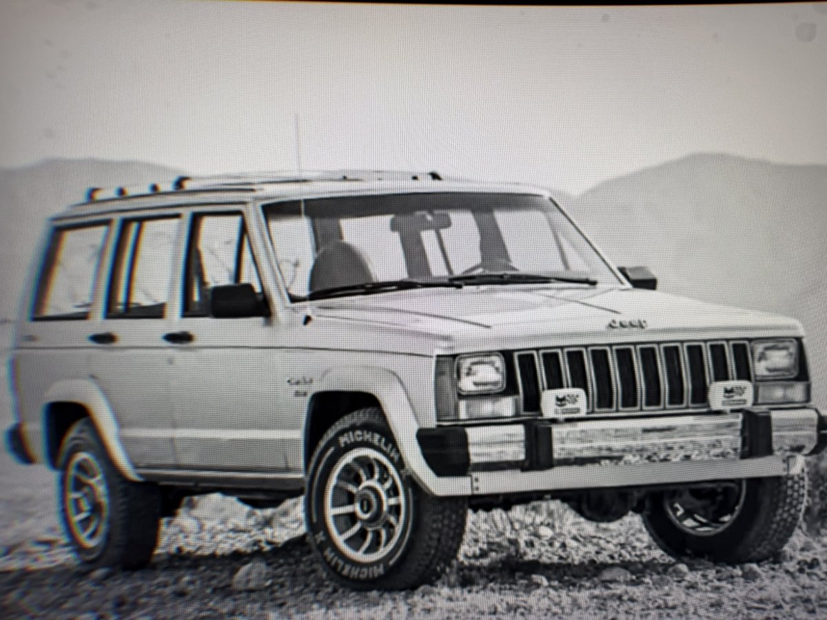 Torx 🐆⛽ tweet media