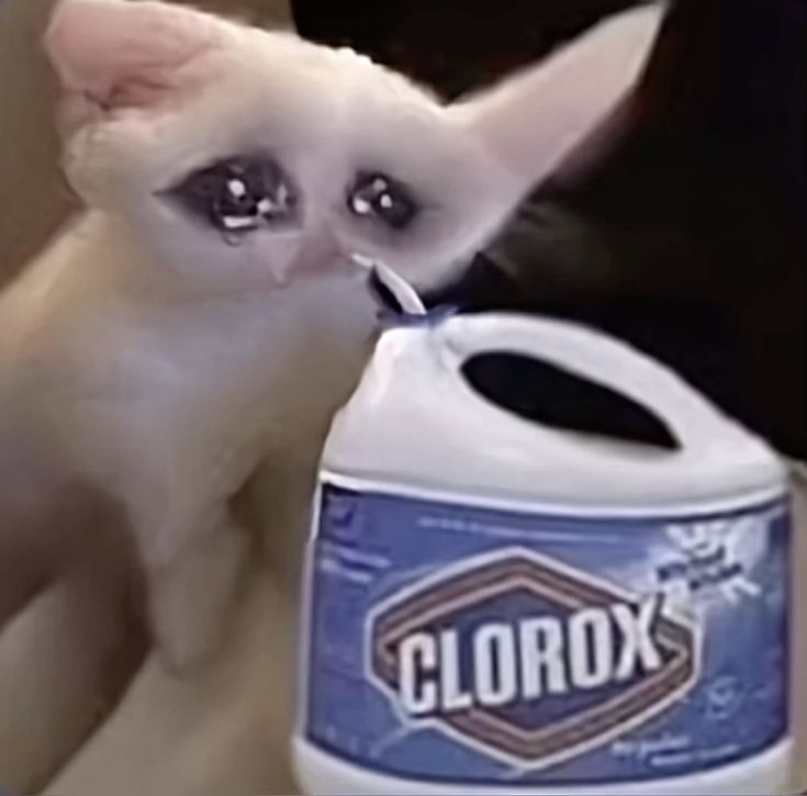 Sari ♡ tweet media