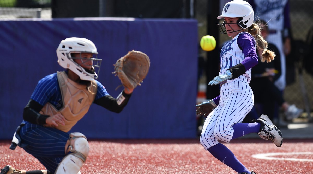 Florida SouthWestern Buccaneers tweet media