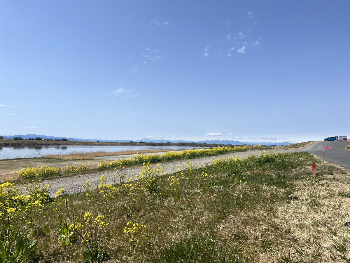 日向ぼっこ☀️