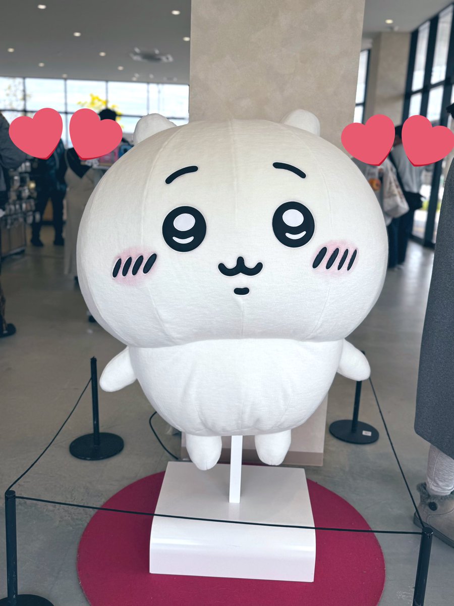 🫧🍬そら🌵🦔 tweet media