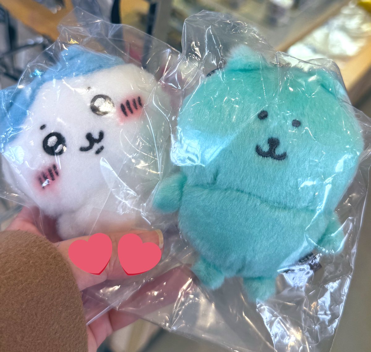 🫧🍬そら🌵🦔 tweet media