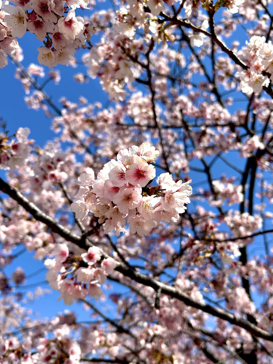 かるく茶をしばきにきた