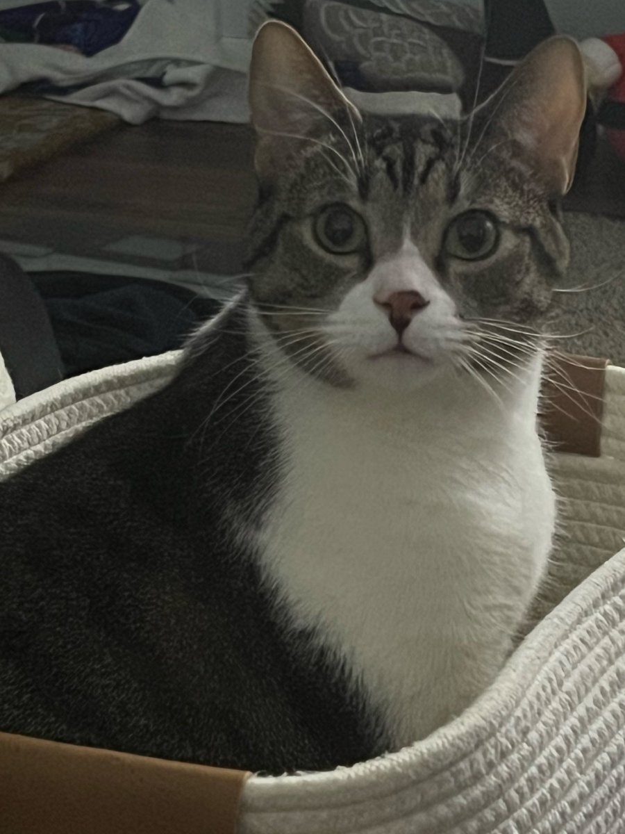 BGWX Chasing tweet media