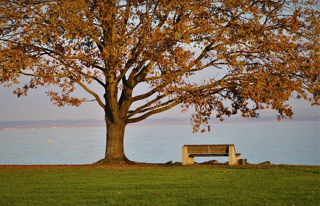 Daniel Mohan tweet media