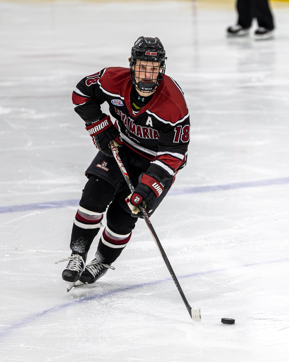 Anna Maria College Athletics tweet media