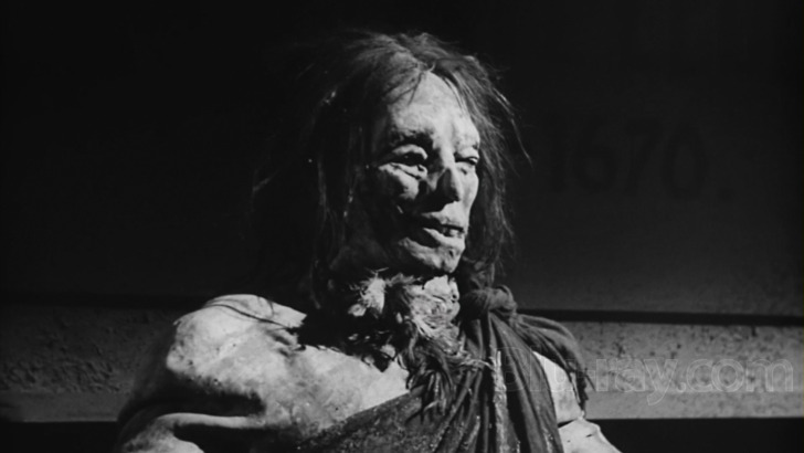 Cesare Augusto tweet media