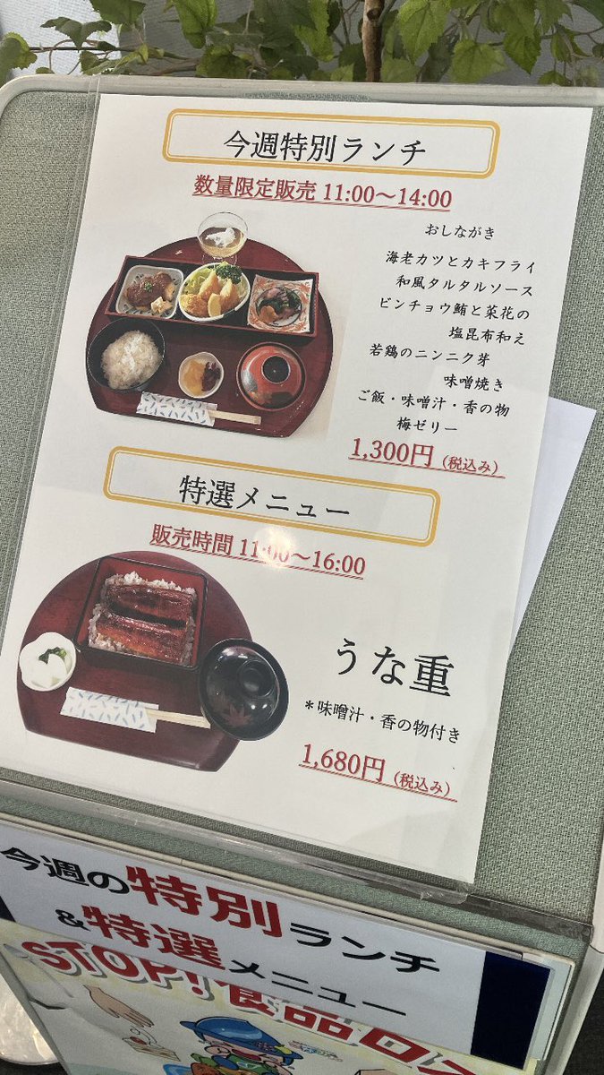 森のくまさん tweet media