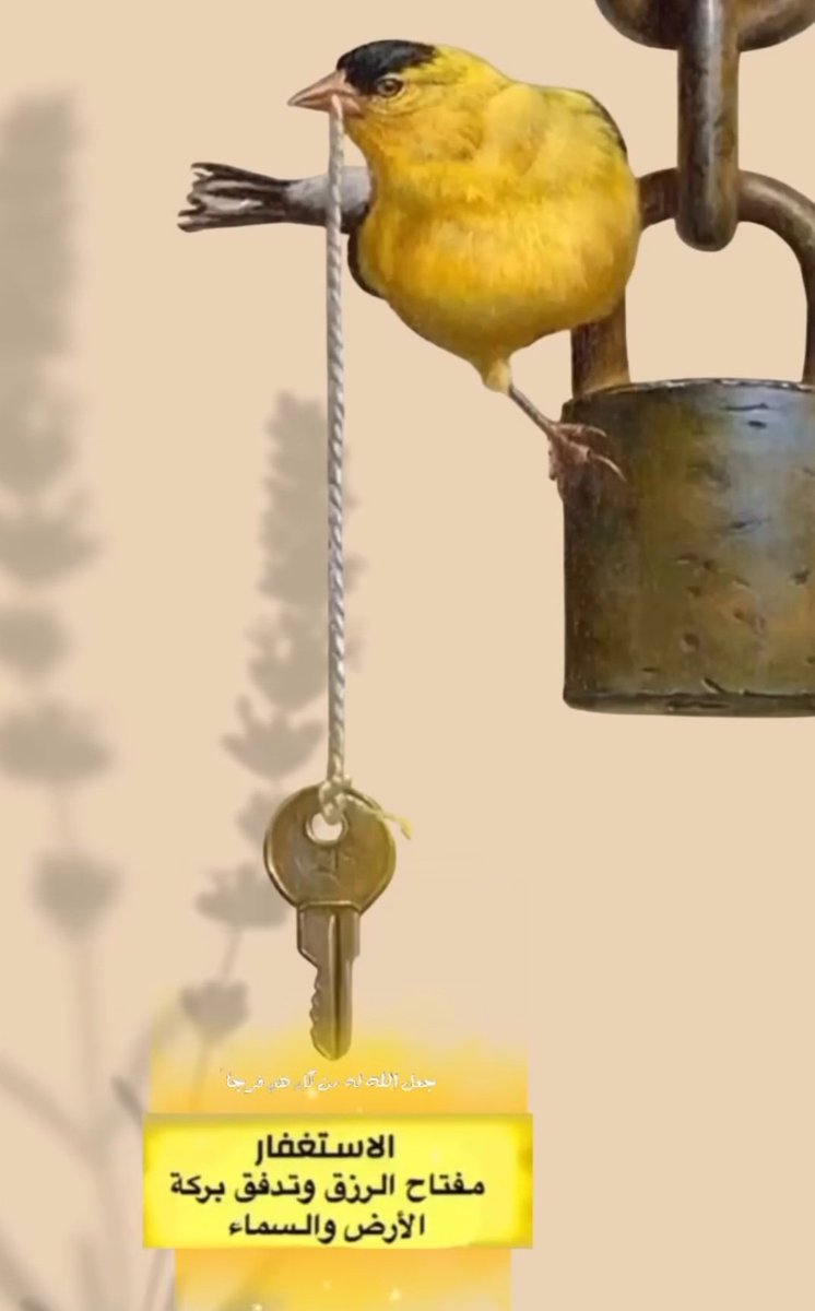 أ....مـْـْْـْنـِِـِـيرة 🇸🇦 👑 tweet media