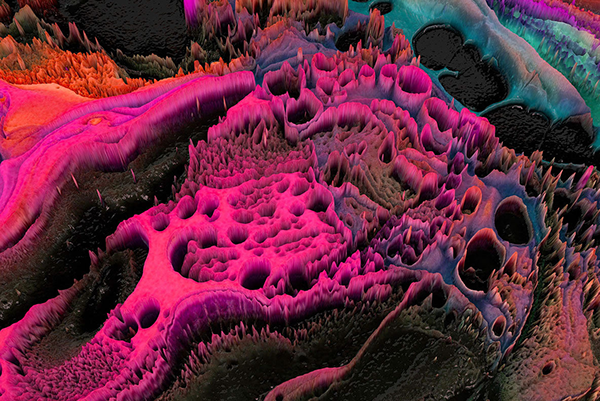 Designeour tweet media