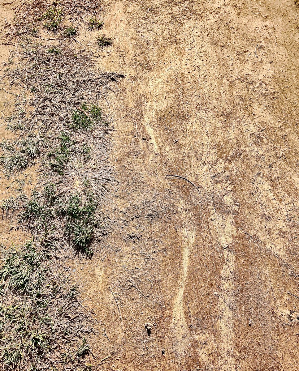 John P. Flannery tweet media