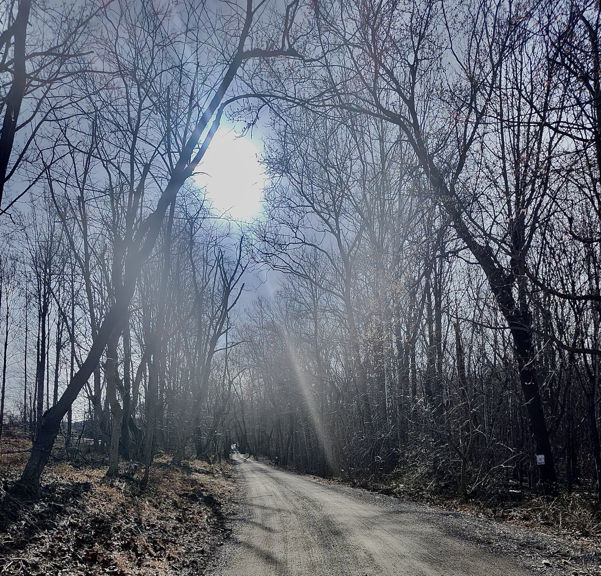 John P. Flannery tweet media