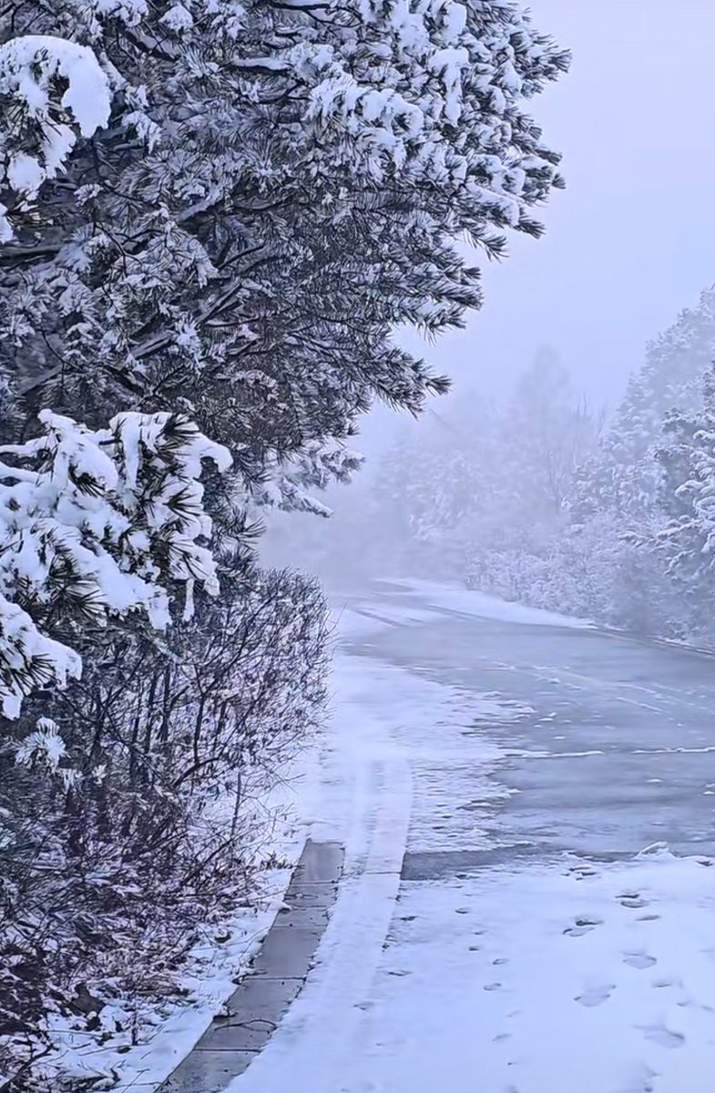 ZCAT_Token's tweet photo. 别人都在晒春花了
太原还在飘雪花 https://t.co/g4oAYdkxqB