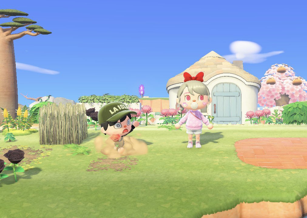 🍑 연이 tweet media