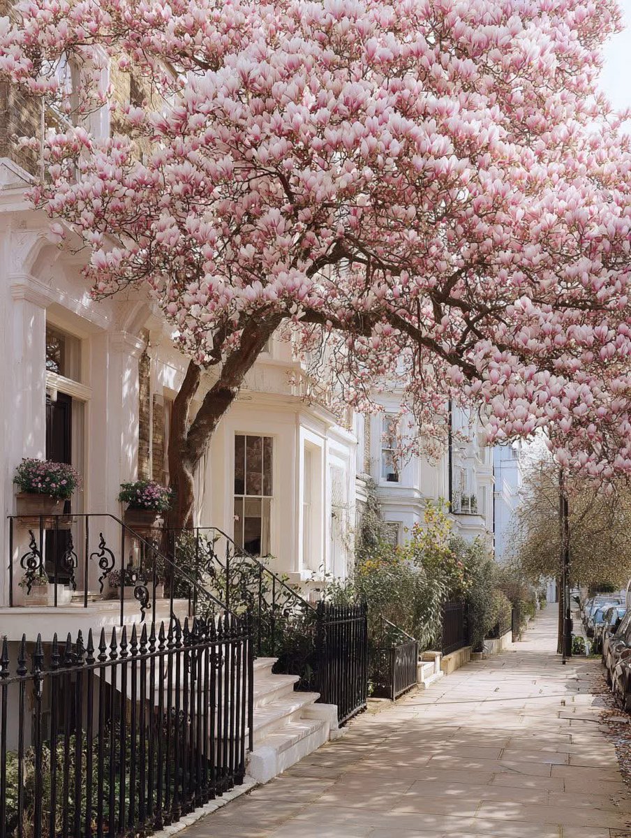 🎶𝗖𝗹𝗮𝘀𝘀𝗶𝗰𝗮𝗹 𝗠𝗲𝗹𝗼𝗱𝗶𝗲𝘀 ✨ tweet media