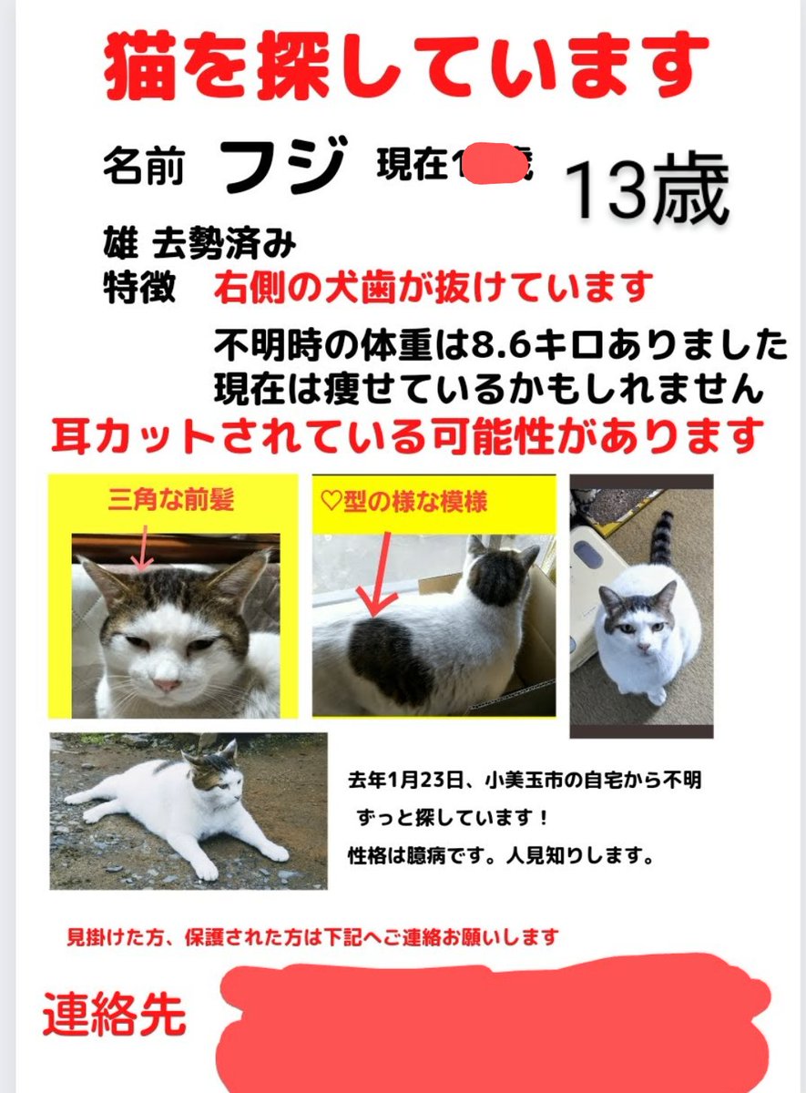 2021年1月23日 　#茨城県　小美玉市　の自宅敷地内から車で連れ去られた愛猫を探しています。
近所の飼い猫たちも行方不明になってます。
車で連れ去られたので遠方にいるかもしれません。
情報をお持ちの方は連絡して下さい🙏
写真や動画を送って頂けると有り難いです。
よろしくお願い致します🙏🙇