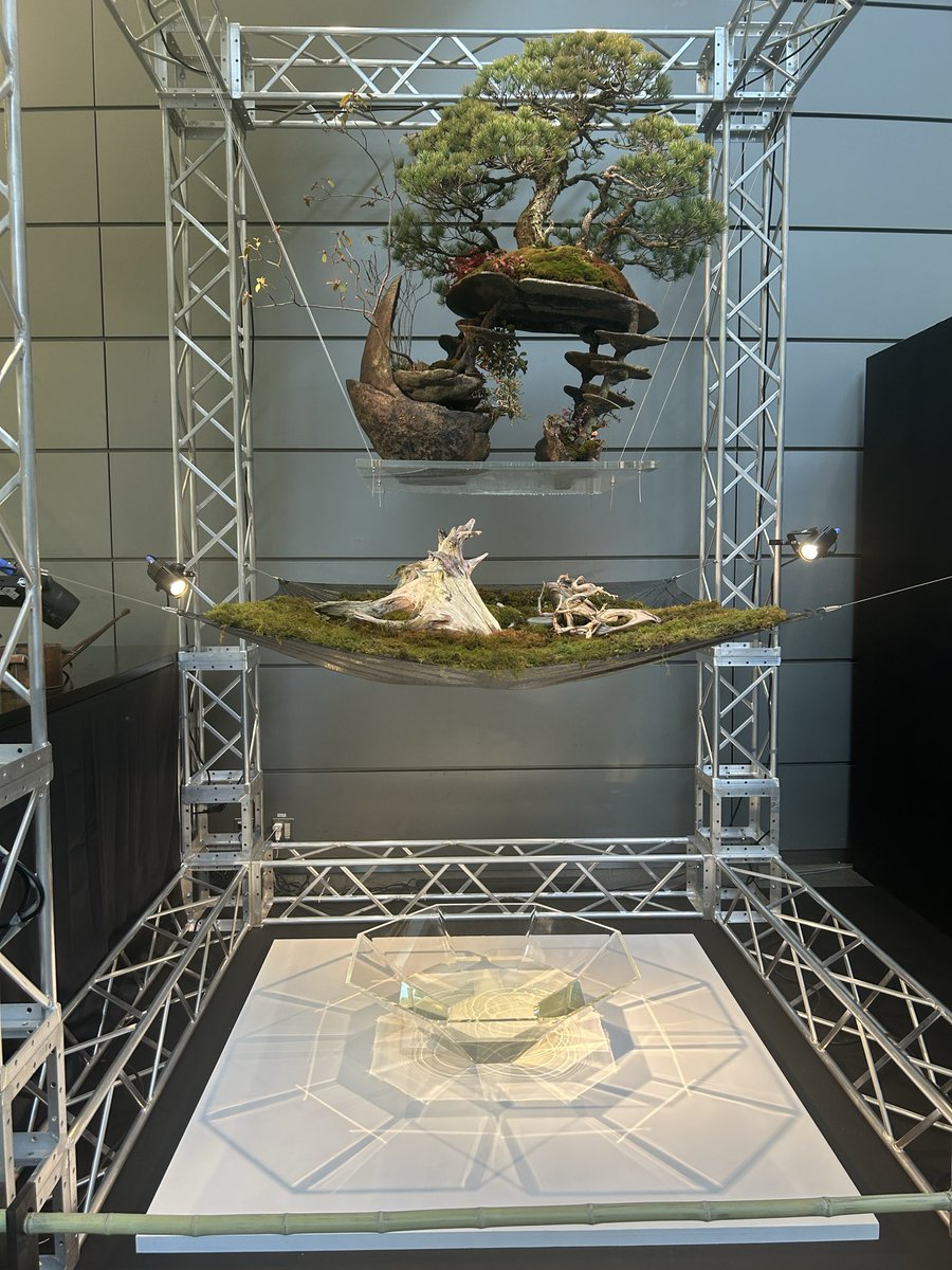 fugashi|@BONSAI tweet media