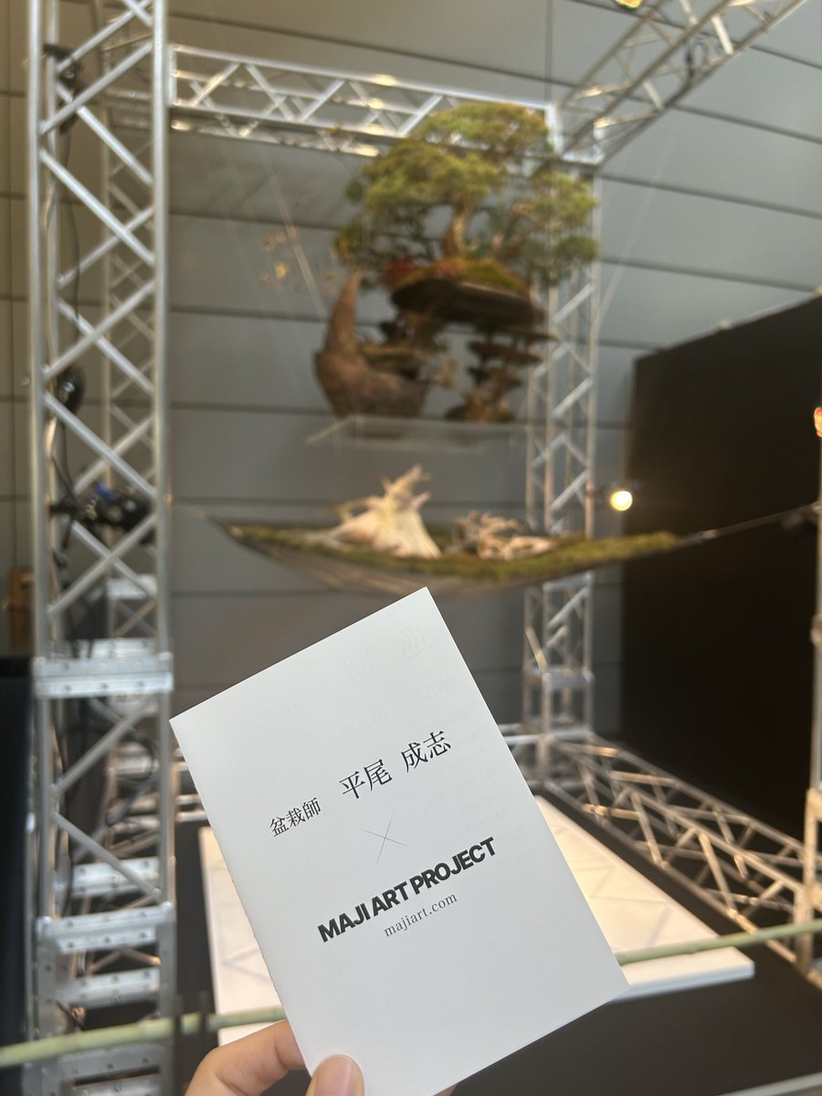 fugashi|@BONSAI tweet media