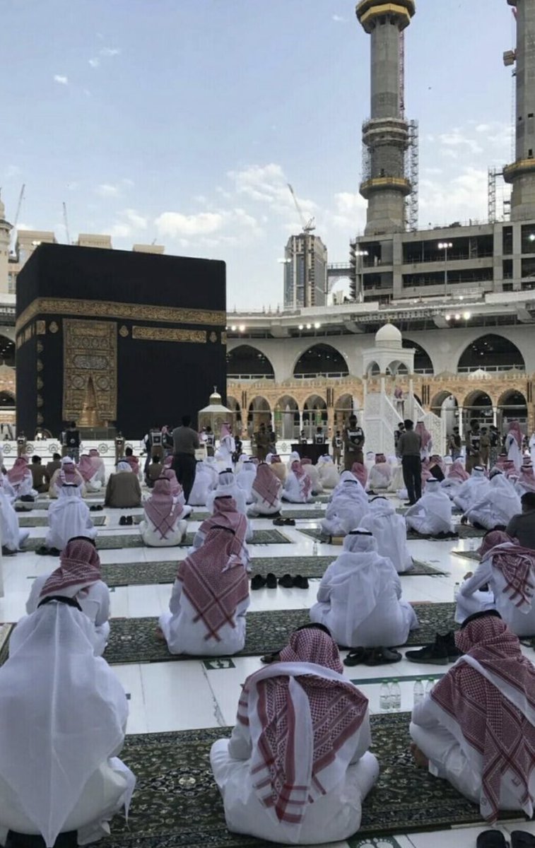 ﮼رونق🕊️ tweet media