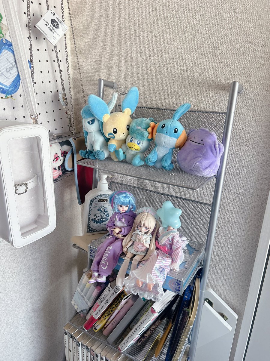 おはようございます🦋

ポケモンの専用のスペースつくりました