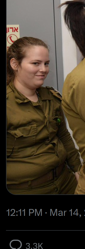 Botchasaurus tweet media