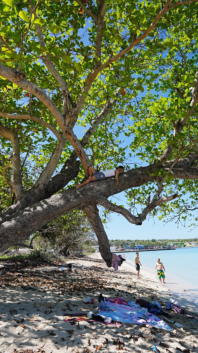 I-VAN aka BLACKANESE tweet media