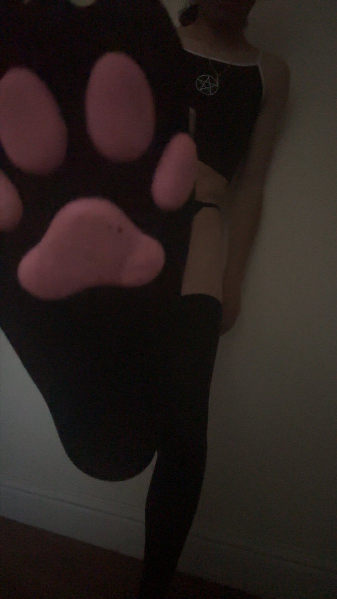 talk to the paw :3c