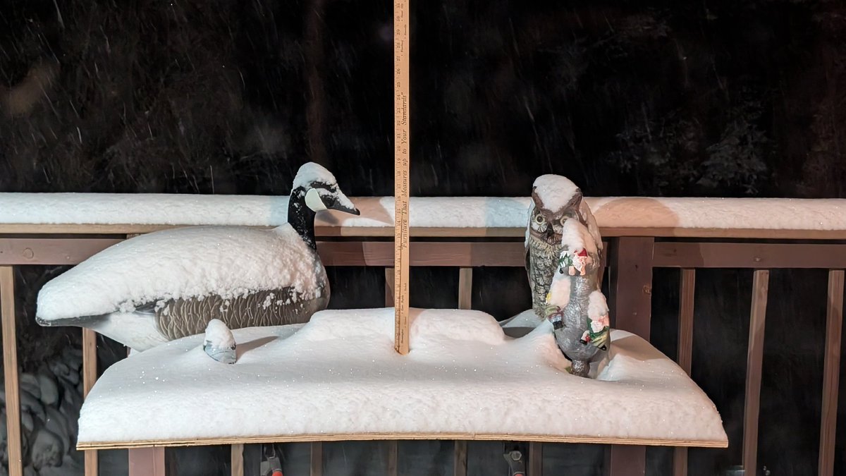 Bill Doms tweet media