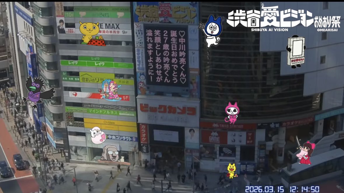 孤独な陽カラス【渋谷愛ビジョン】 tweet media