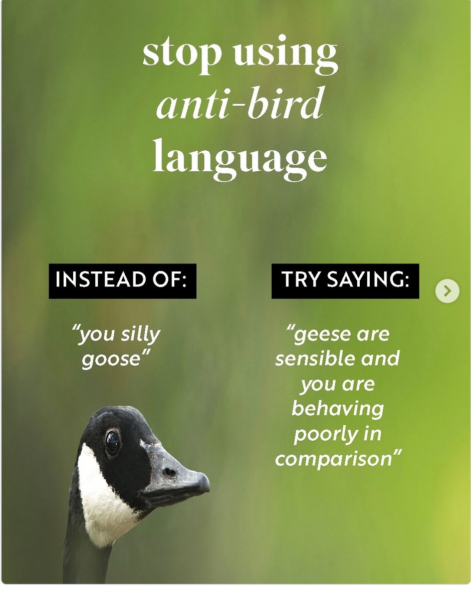 no longer respecting gardenias tweet media