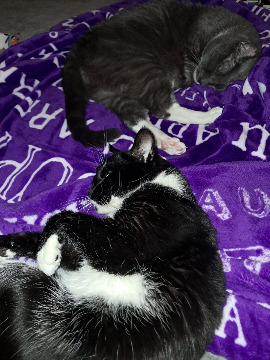 Brian Francis Nearey tweet media