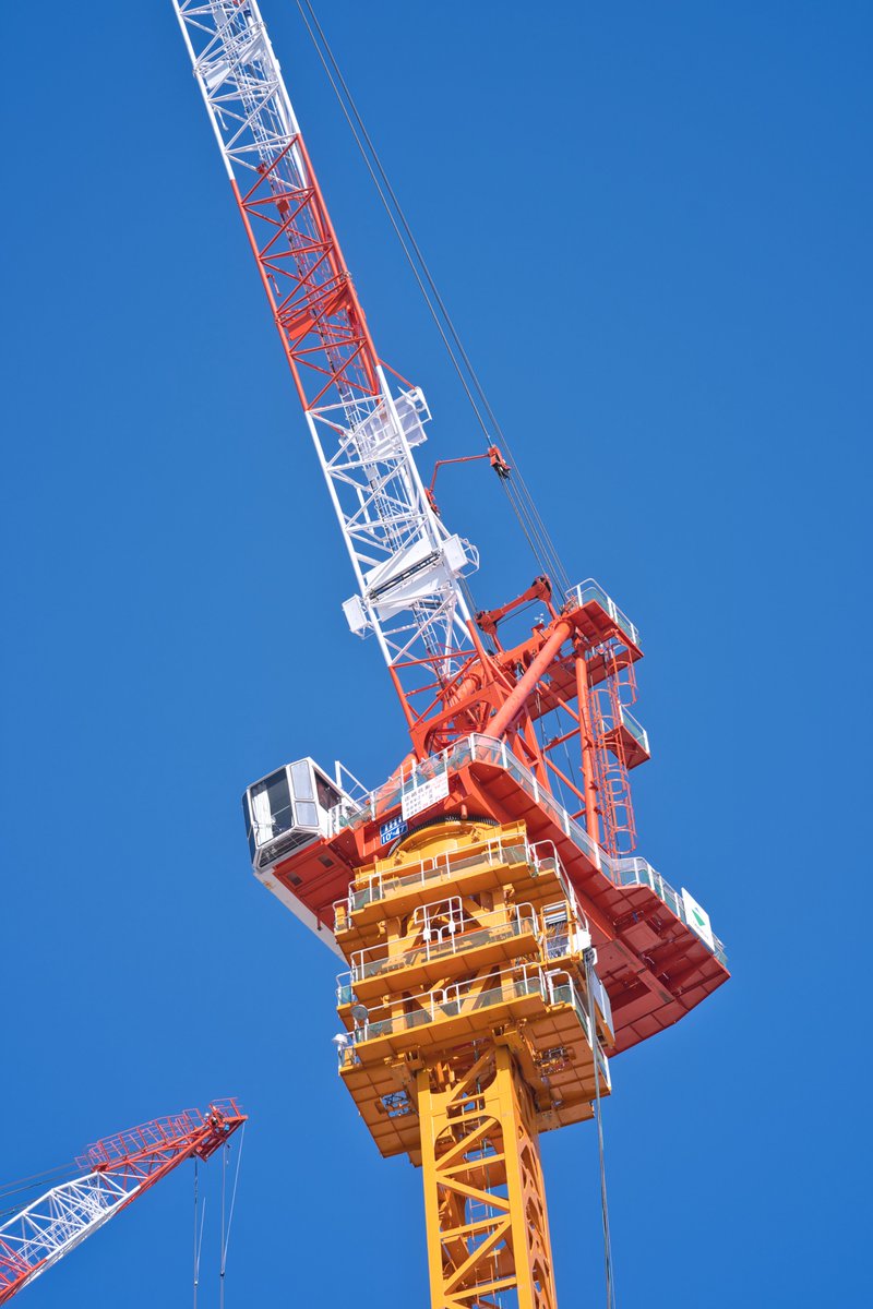 すぅじぃ(本人) tweet media