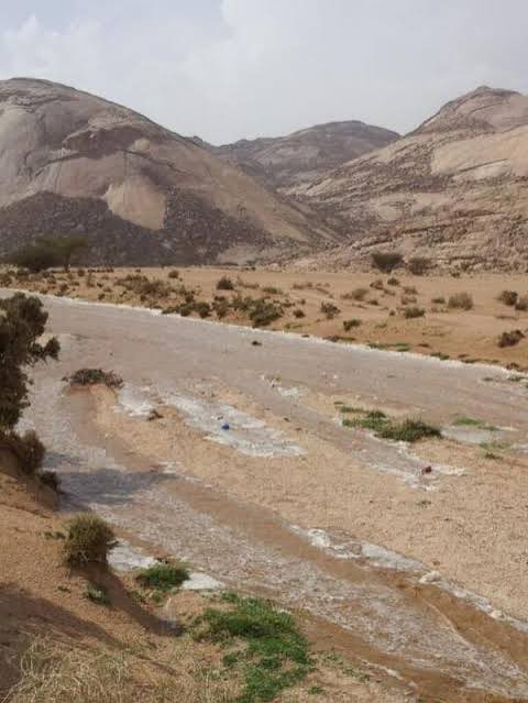 رَيِّانَ القِثَامِيّ . tweet media