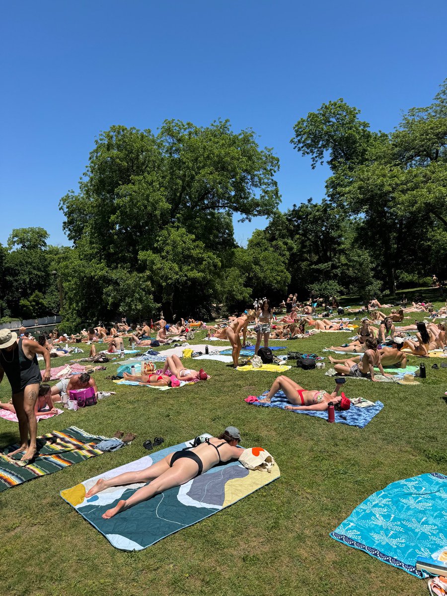 YIMBYLAND tweet media