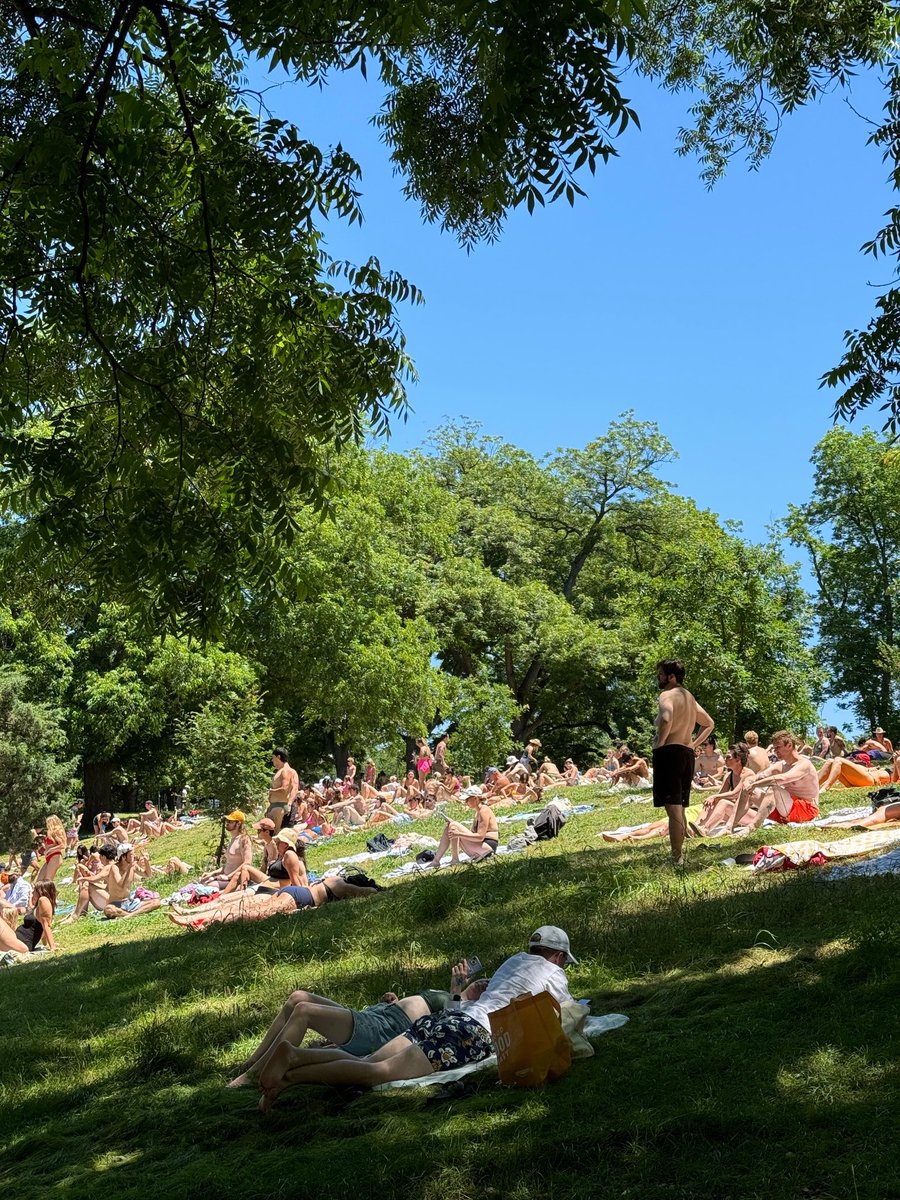 YIMBYLAND tweet media