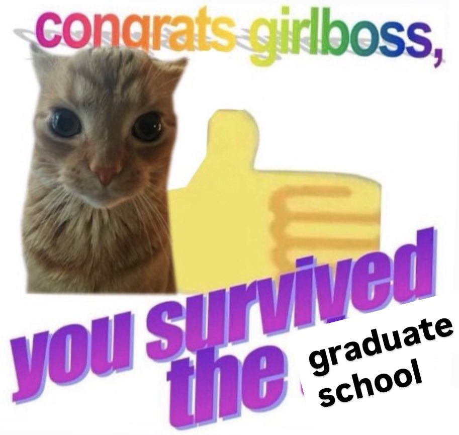 carpette tweet media