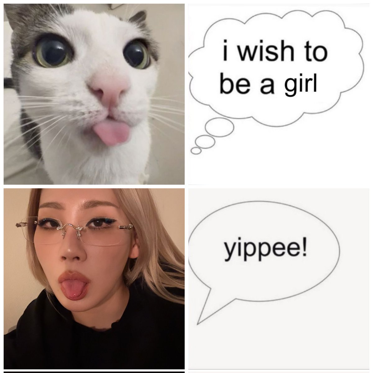 clmp4𓍯ོ tweet media