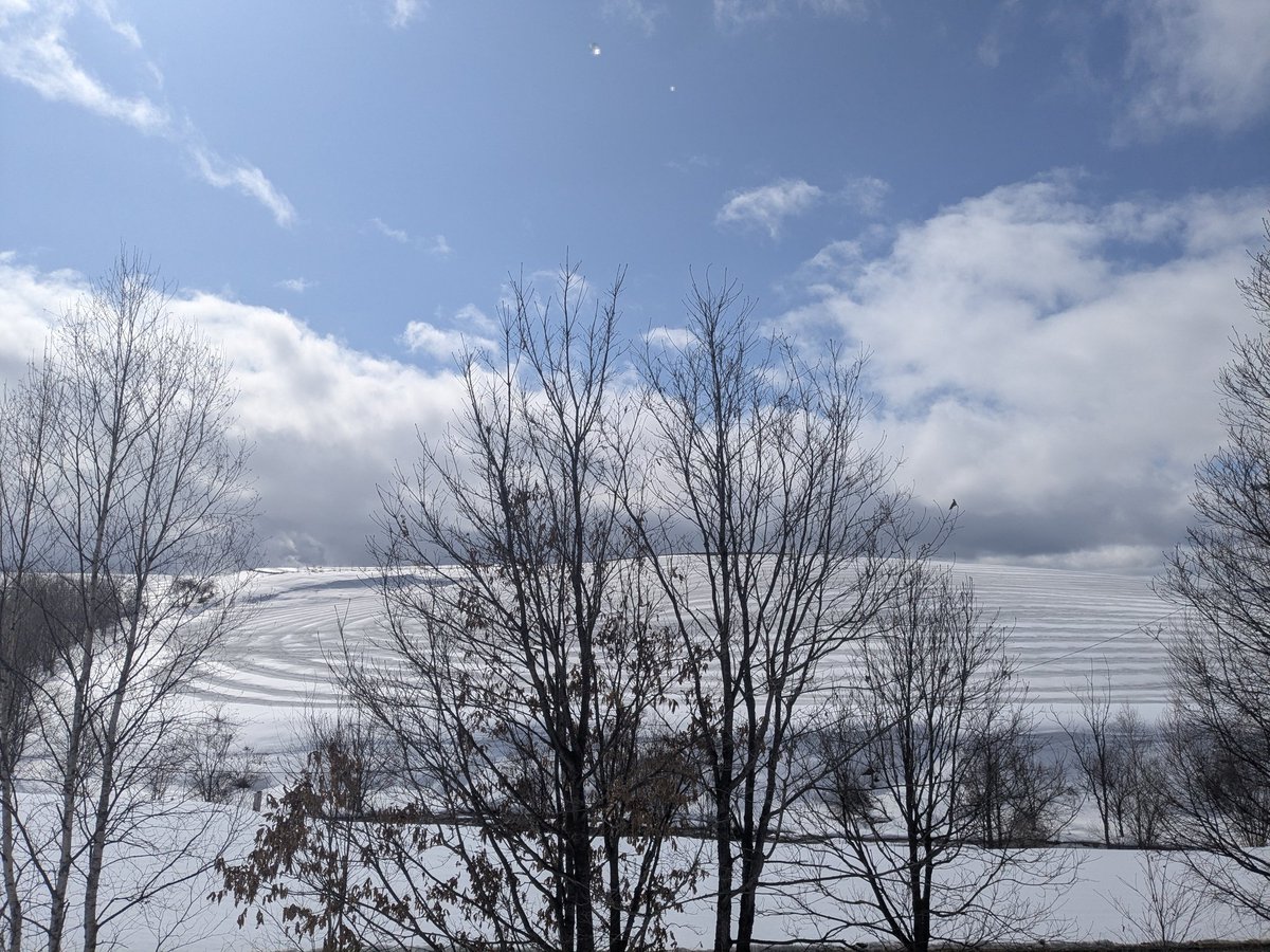 モフモフ毛玉王の飯使い tweet media