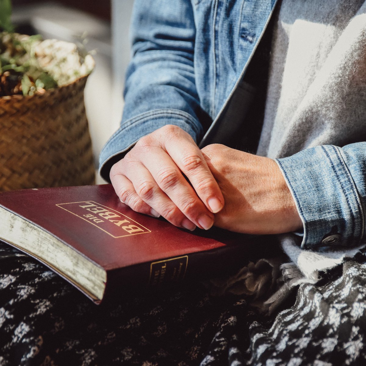 Solidariteit tweet media