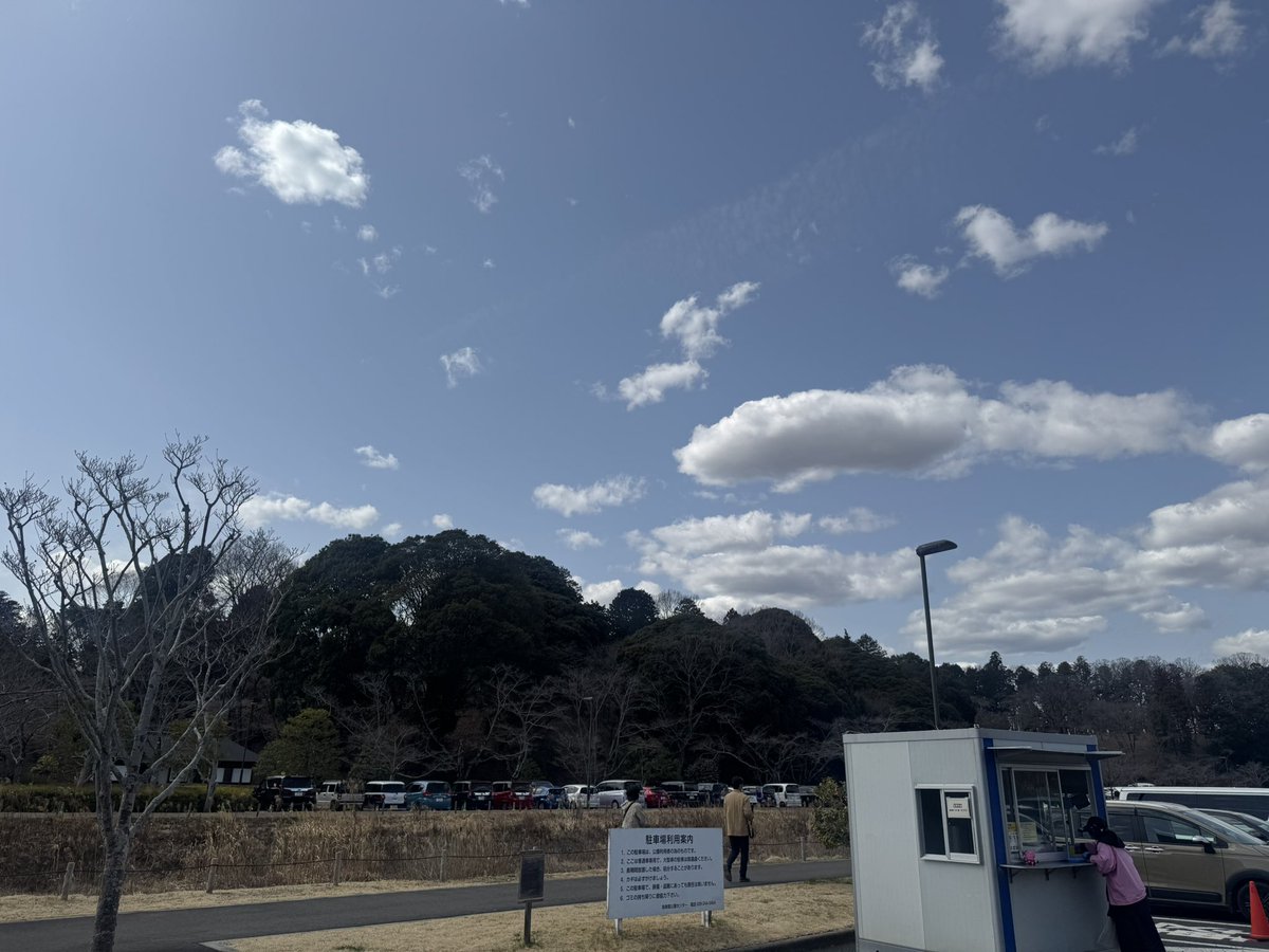 迷子のジャンボくんのお知らせ
偕楽園の神社⛩️近くの桜山第二駐車場入り口でお迎え待ってます！

#千葉ジェッツ
#ジャンボくん
