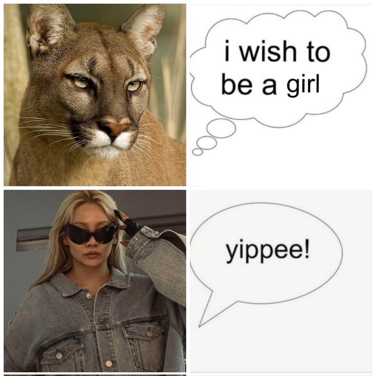 clmp4𓍯ོ tweet media