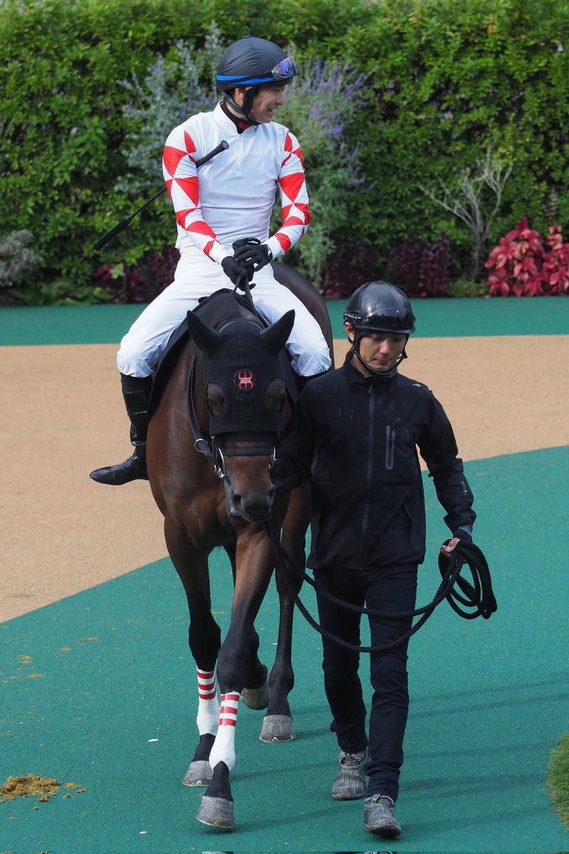 (有)上山牧場 tweet media