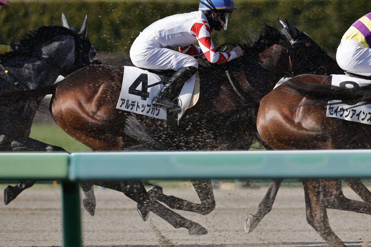 (有)上山牧場 tweet media